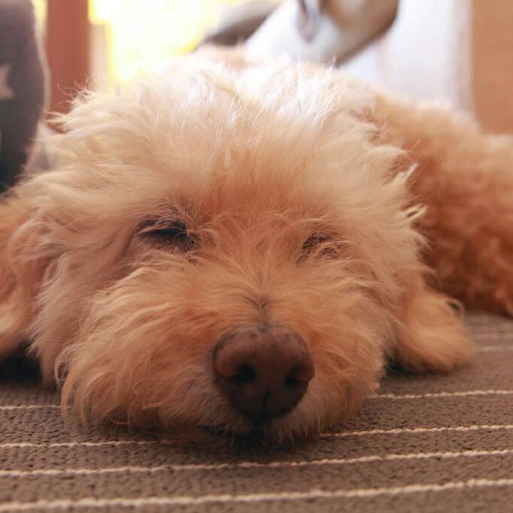 1f4bd7ea e2f6 448f 8333 2180b4999c3a 1594230749679