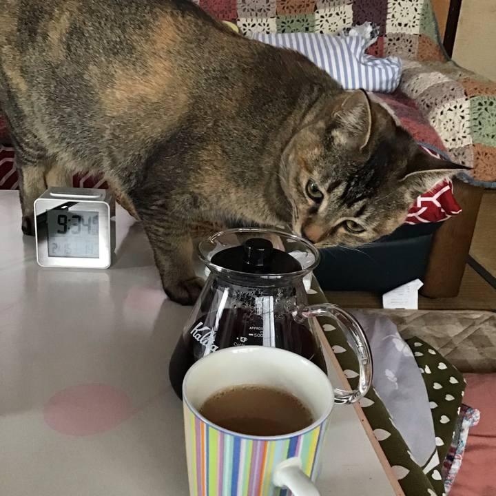 1f4bf9f9 26b4 43f8 85e2 d29b8baccfbf 1581733268945