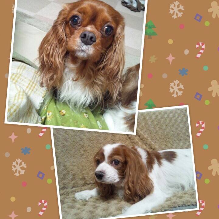 1f4c0c56 fee5 477e 89aa 5d47a332cdc1 1510664196220