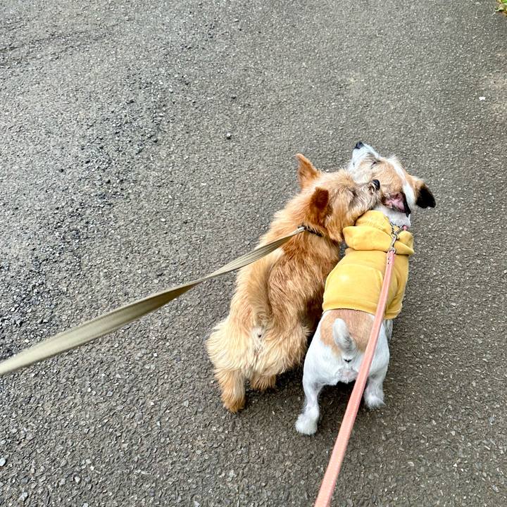 1f4c2b3b fb5f 446d b701 0f750cdea2d6 1713620759897