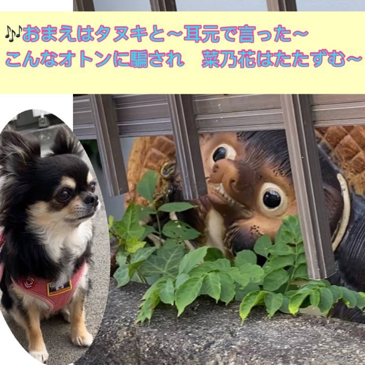 1f4c3913 6f2e 4e9b bedc 40f8f664a7dc 1628903696233