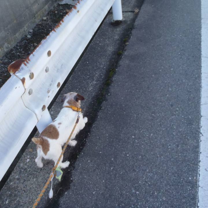 1f4c636f 9758 481c 8e80 e259ae46836d 1581417082603