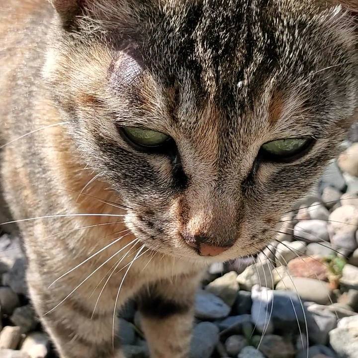 1f4c65d2 1239 4441 9b48 7ba61363612a 1720527323236