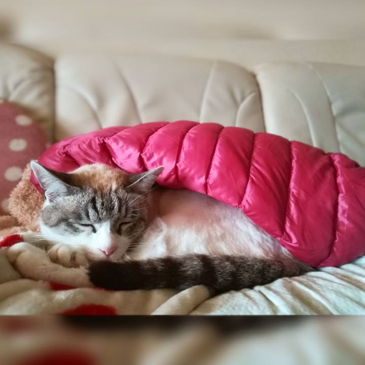 1f4ce535 9a4e 4780 9355 9d78dff54c34 1580628155555