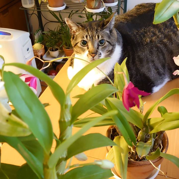 1f4d0dee 429d 49d8 af1b 167989ef9631 1610842781601