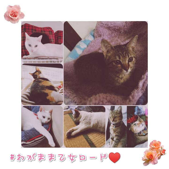 1f4d3d2a b2b0 44b1 bef7 fc1221a4d4ab 1569411421473