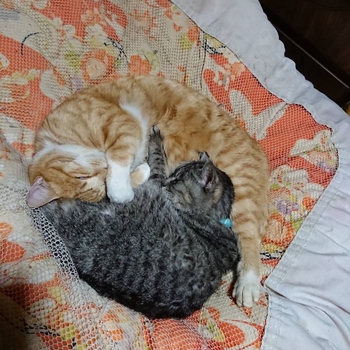 1f4d4204 dabf 4824 a9d1 e22d0400b352 1577801545211