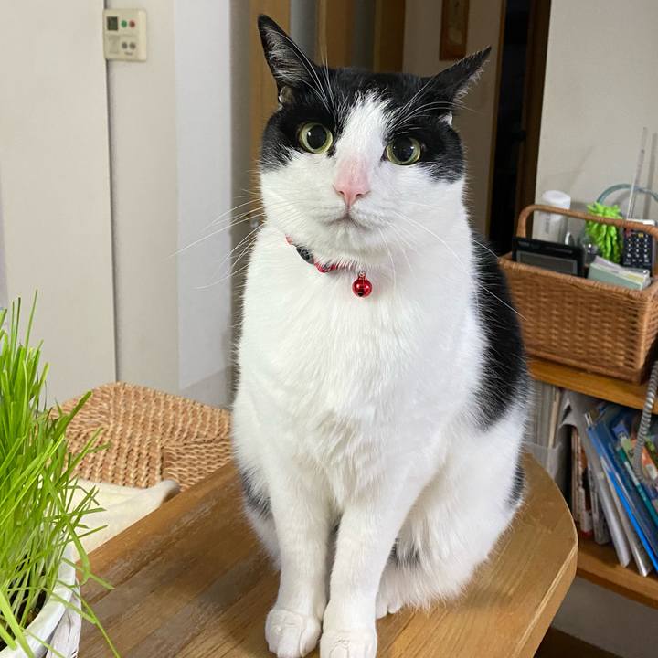 1f4d7241 78a2 46ab 9a88 9faeb4681065 1645445387825