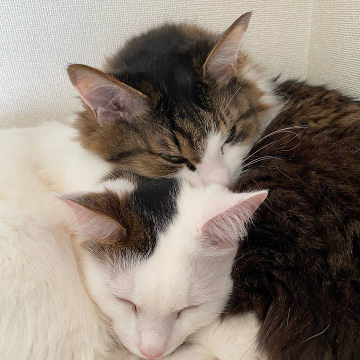 1f4db609 d985 41db a3cc 94ba7f654e09 1632307338498