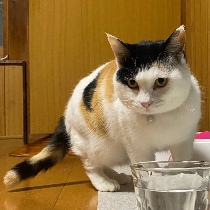 1f4dba57 37f3 46be 862c 5995fb21cb24 1648068373363