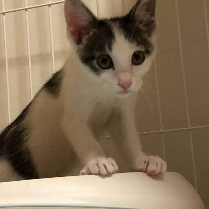 1f4dccc1 8206 485e a165 51ec83f473e2 1563093006940