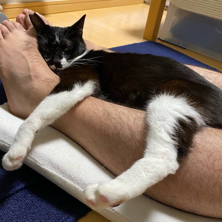 1f4ea97c 11f9 4312 b2e4 8d96199833fe 1663346810329