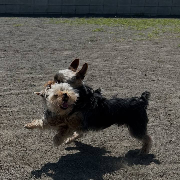 1f4ee1f6 7968 4f66 a512 cdd5014a372d 1745736238503