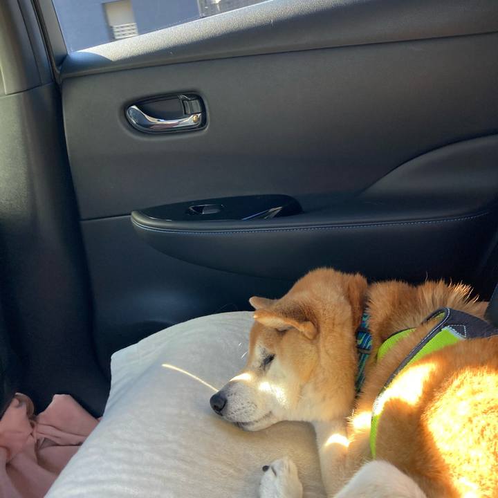 1f4ef155 45bc 4def 8a99 2651dcf54893 1610683671691