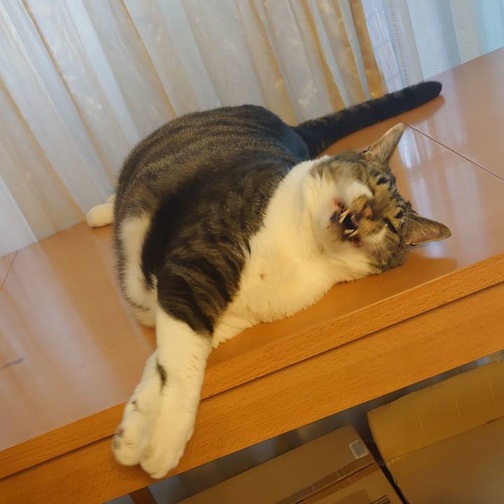 1f4f018e e269 4410 80cd 9bec8d8b8c35 1658448523923