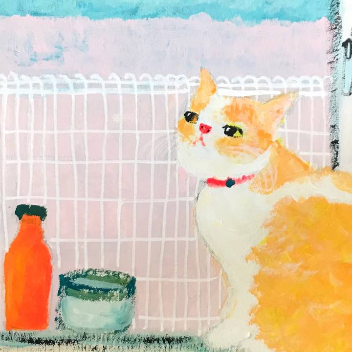 1f4f0c11 e6a8 4914 8e27 47c021f9568d 1587793580733