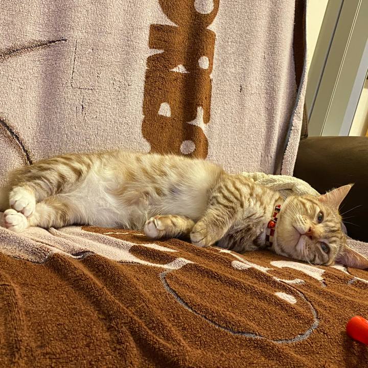 1f4f11a1 0532 46c7 b8df b3a7fd81f888 1627390123078