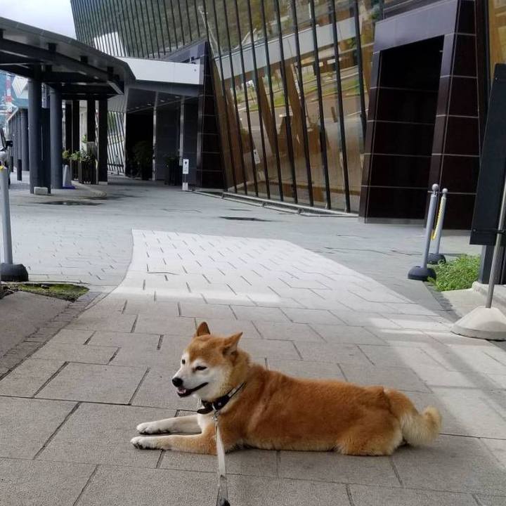 1f4f1a13 30a7 4892 8b00 ab03309dfaf3 1530851854531