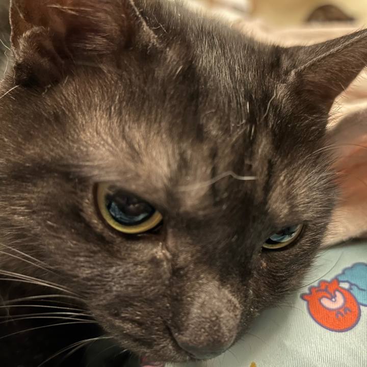 1f4f29c9 8b29 40b1 bb74 1a046b8c9ba8 1761667647602