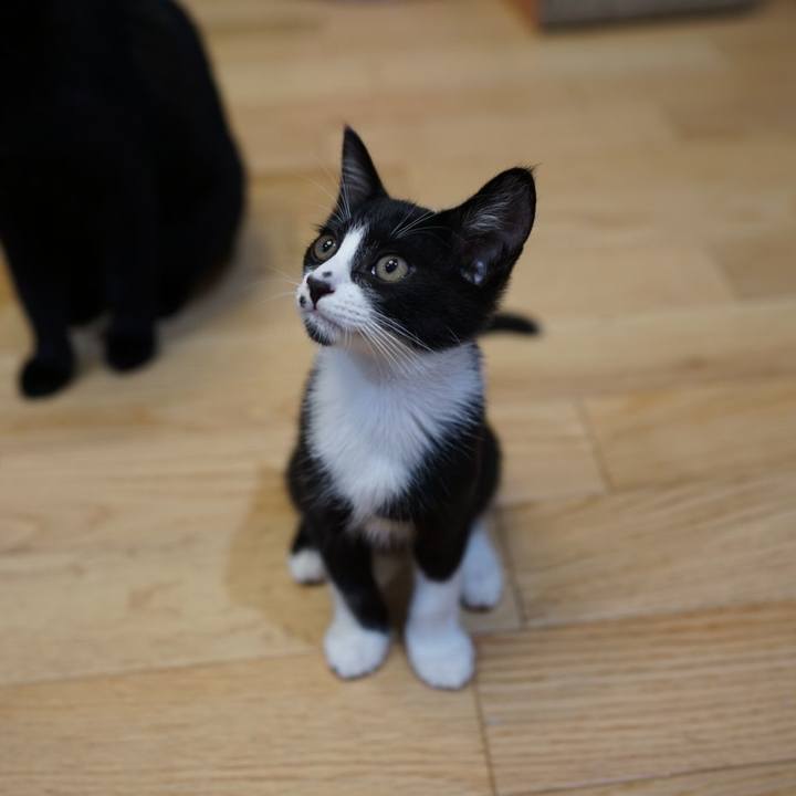 1f4f2bf7 6498 40e1 b6c3 95313300a63d 1569335764352