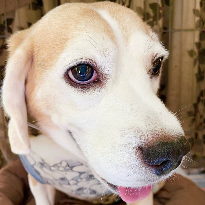 1f4f437e f62b 48c8 afe4 bc4ea20e13be 1632800831860