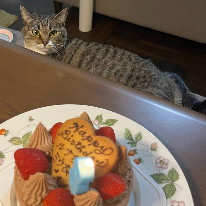 1f4f7f6f af00 4e63 a1b2 cf7cae14cb38 1757329553926