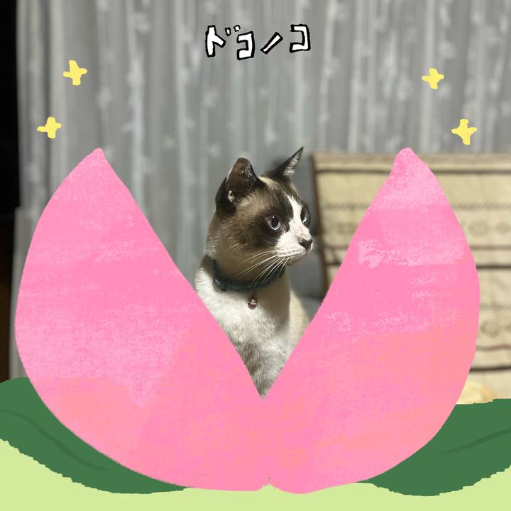 1f4fa99f 4f39 4556 b530 ede2079ce435 1771975022038