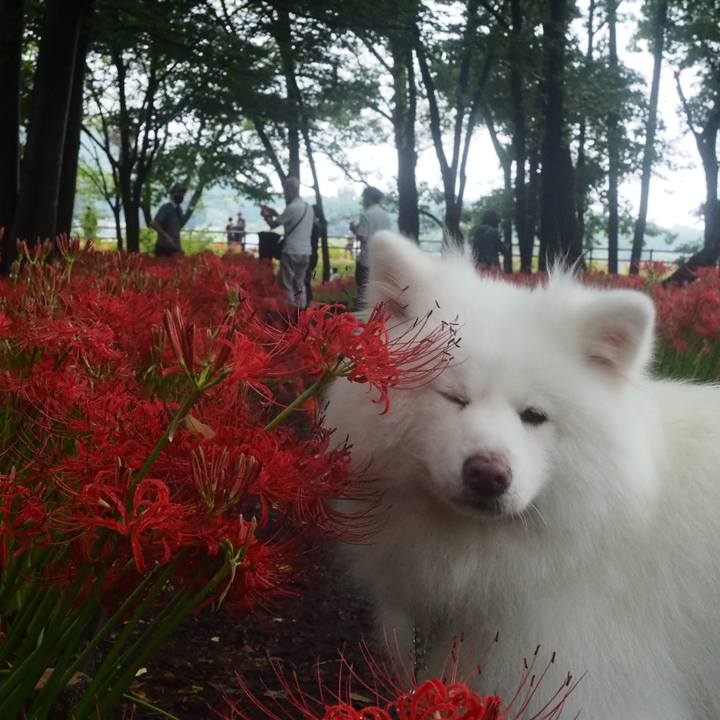 1f4fb8be 47c6 4878 abd2 eec3b96ee5ad 1663574541463