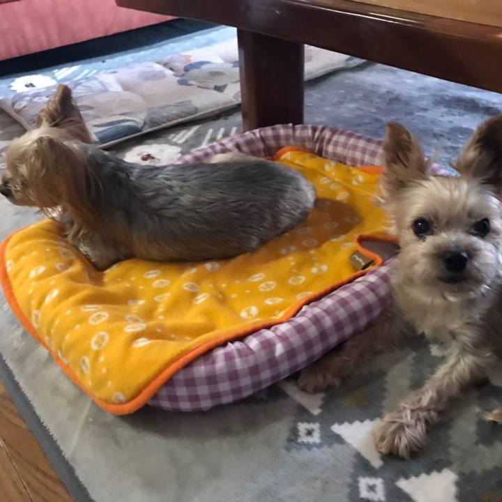 1f4fbc53 413d 4a87 bdff 0cba524fcd26 1601285380565