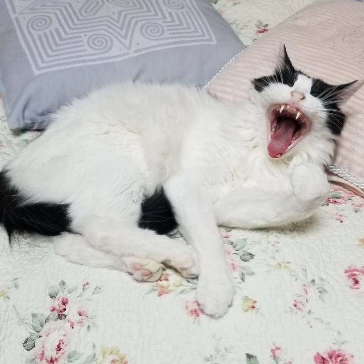 1f4fdb05 55e8 43c3 a2b5 779ecc918d88 1557698035717