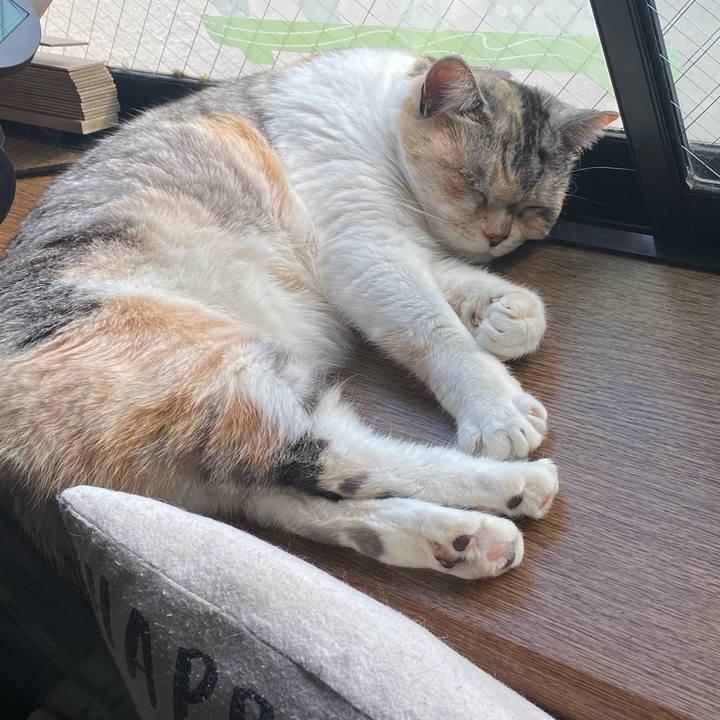 1f4fe59e fd92 46bc 9ce0 0b4c5620c179 1612332463045