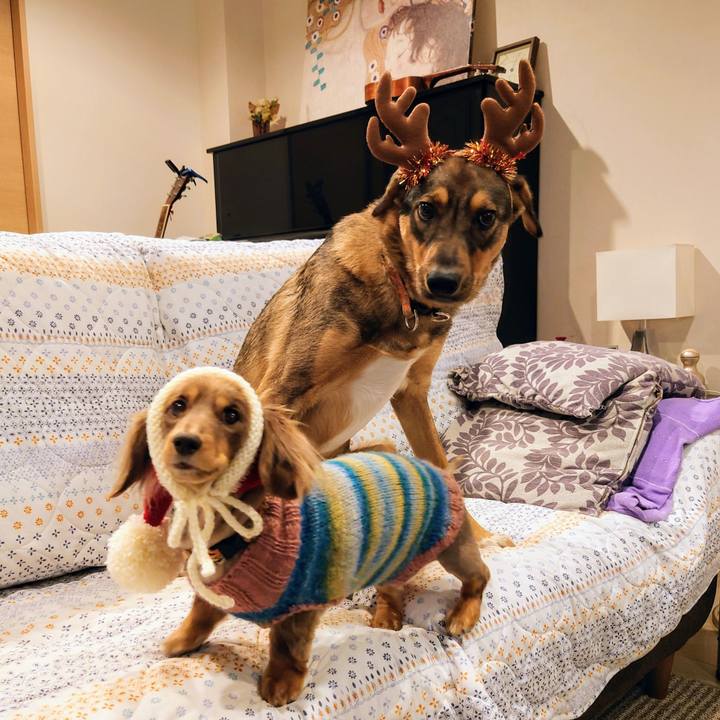 1f4ffbc8 db2c 43b8 b2f4 4ecddfa182a9 1703408188546