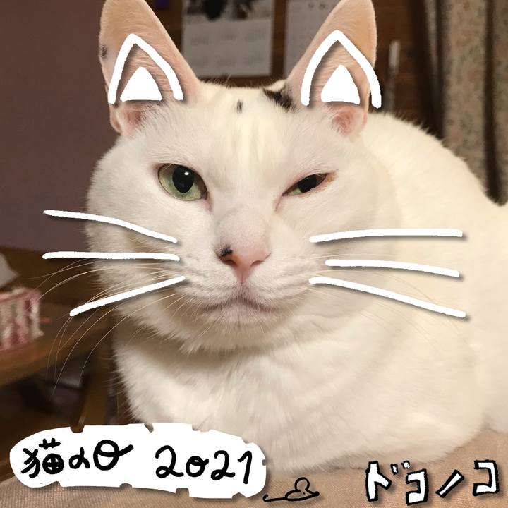 1f4ffc95 d54b 49cb 8383 c1c2fd6b9dc0 1613993139927