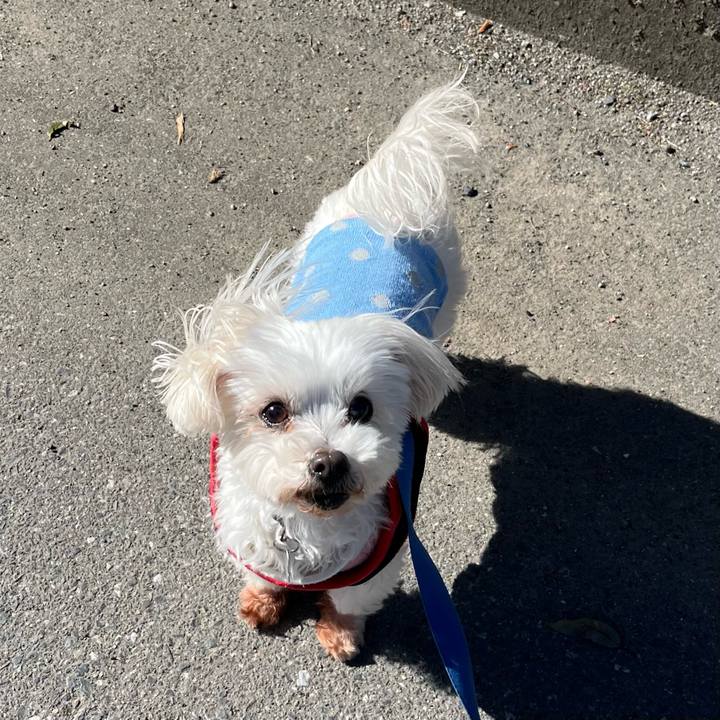 1f50b8b0 98f3 401e 948f 9268318582a6 1738723139473