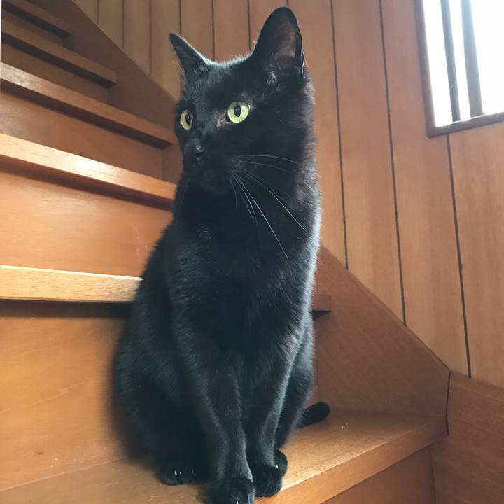 1f50c03c 5926 4048 b102 0453bbad72a0 1526002075621