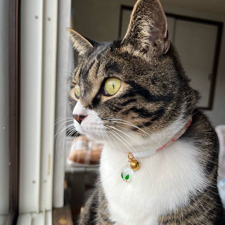 1f50d090 63bc 419c ab93 35500da5277c 1773704691003