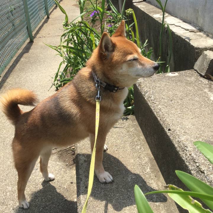 1f50d2f0 e2eb 4ea3 98db 89a8a76b93cf 1561435568274