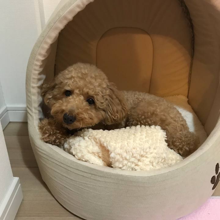 1f50e96c 6a24 4b0b bbc1 00e33e28b0d0 1508757400243