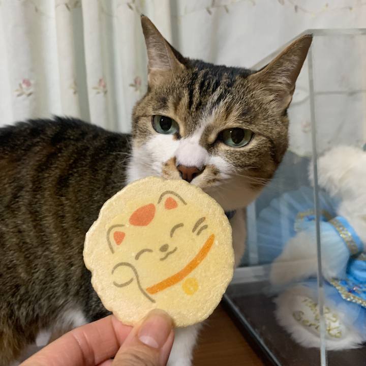 1f50f780 14c2 4351 a45e 182cf8da3e82 1649158496301