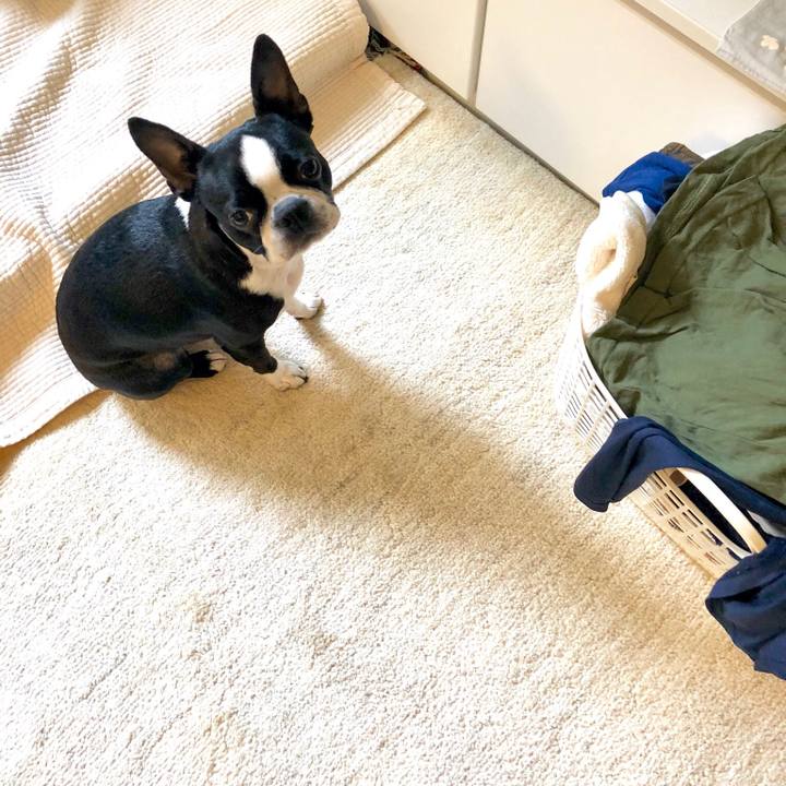 1f513ac8 1d49 4396 8689 5a99d3704058 1524616133871