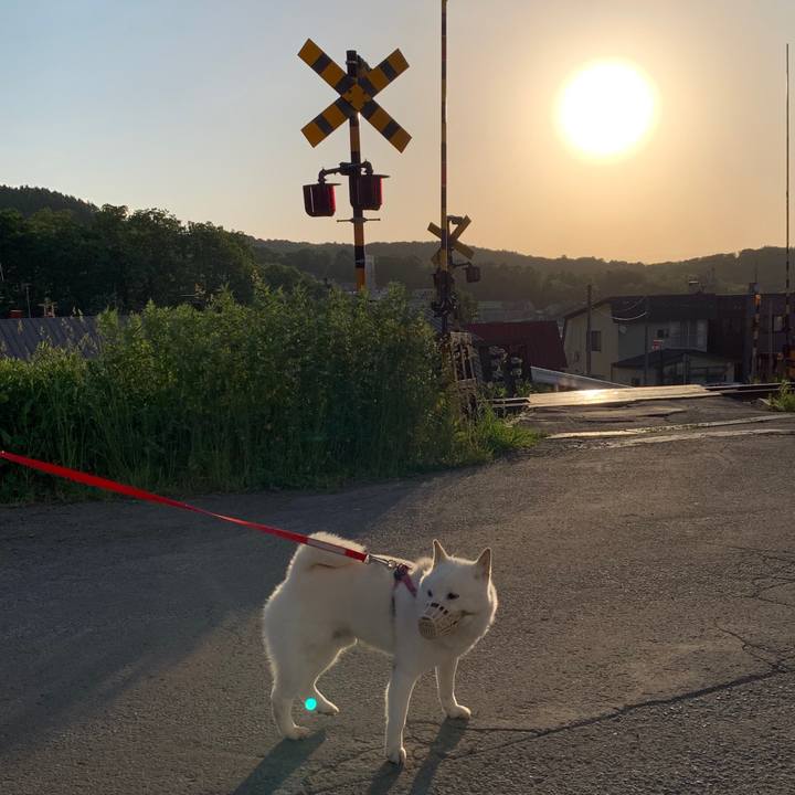 1f514cce ddfd 4451 8edb 190a19213953 1591994585113