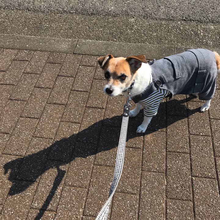 1f517045 9776 48cd bbfa 6f3ca2d4f2fc 1552637669795