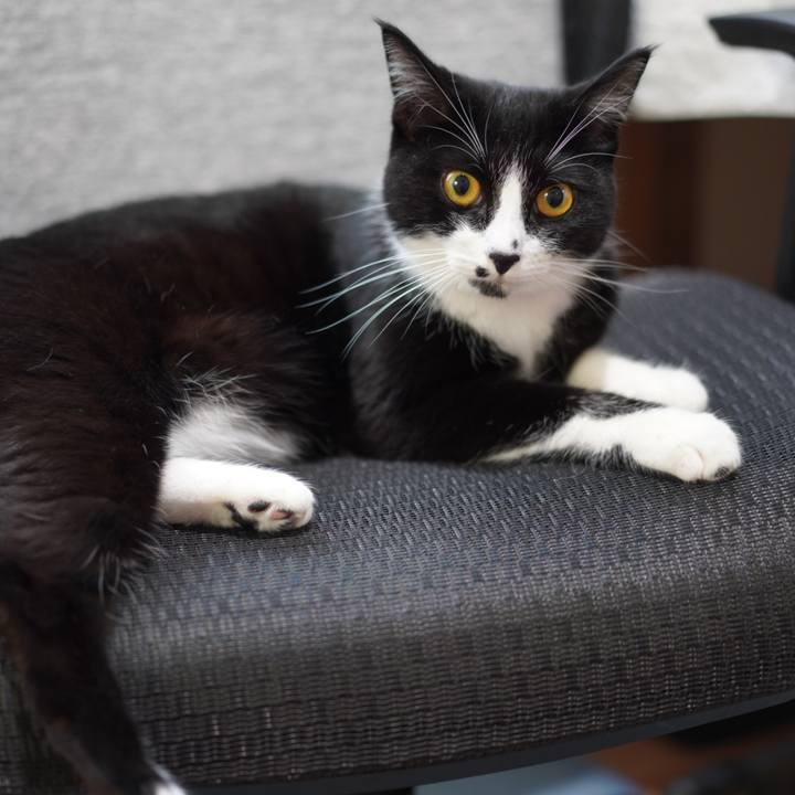 1f517510 7cec 4ad6 9d04 7d1e68e66c4e 1625721810724