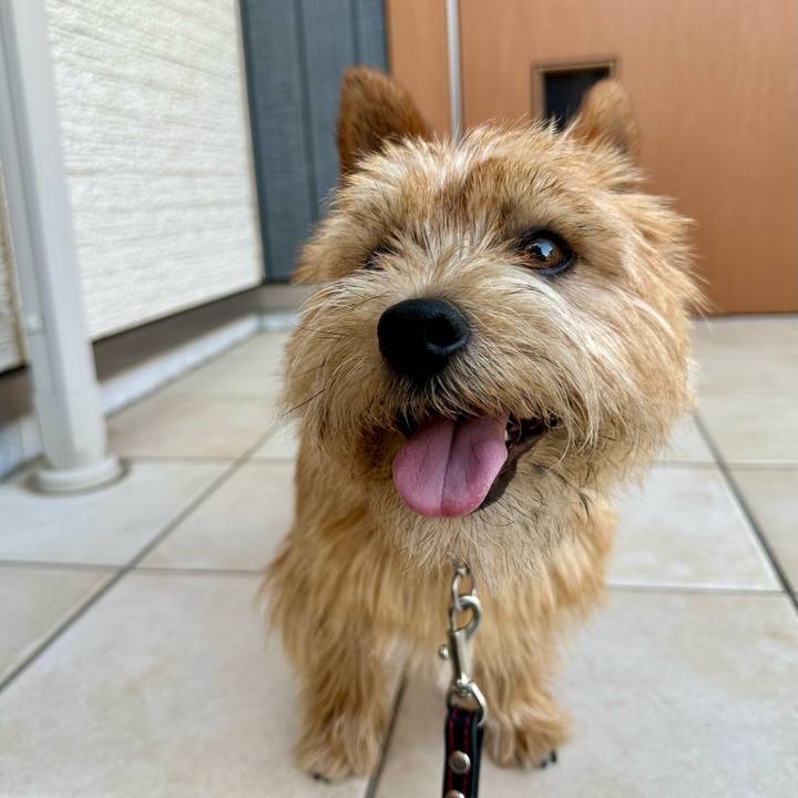 1f518500 fc3b 423c aeb0 715d9a84673f 1747738534619