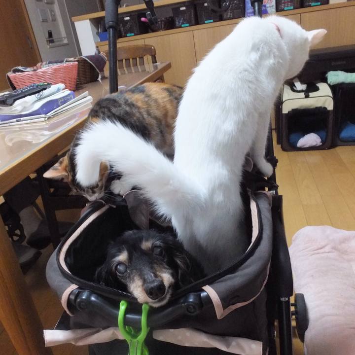 1f518d06 c1c9 45b0 b8f0 f9c6121075c0 1631757134213