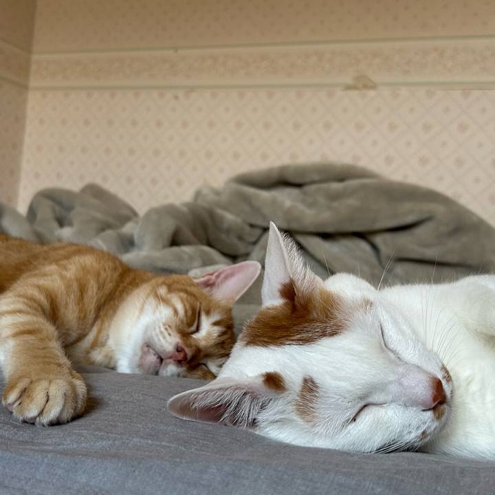 1f5207c9 3ea1 4c33 a49e daa9c96e6847 1672446699083