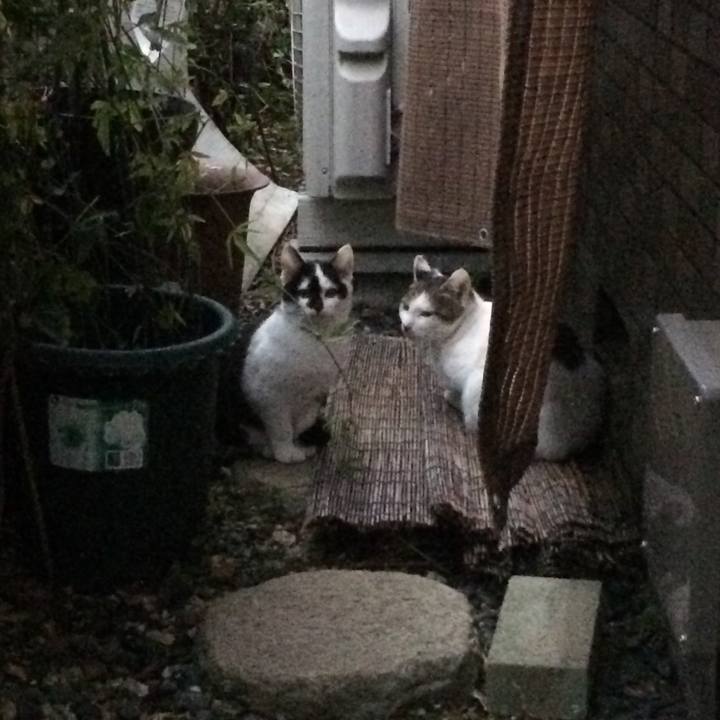 1f522653 eb37 444c 9491 ad4c98b2e242 1544636755440