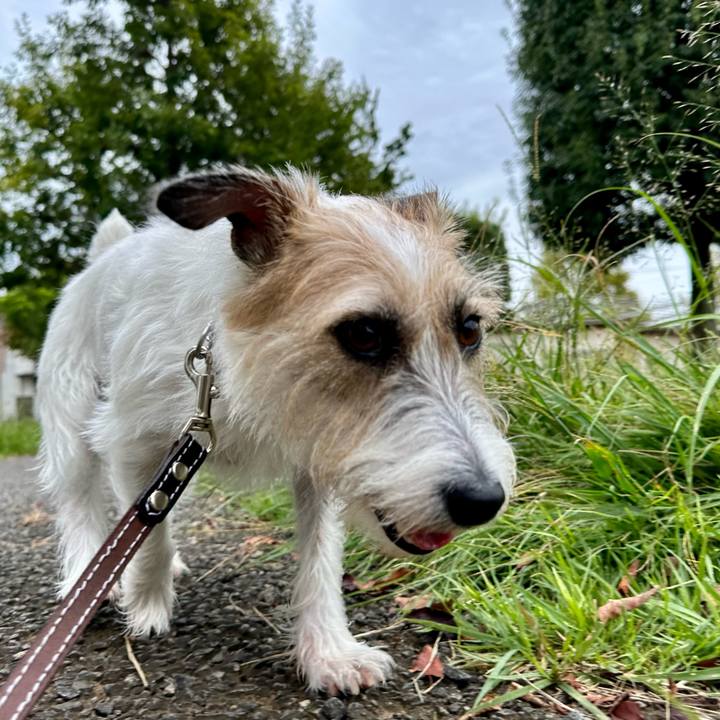 1f52505d 9780 4728 adeb d27228cd0883 1727417808164