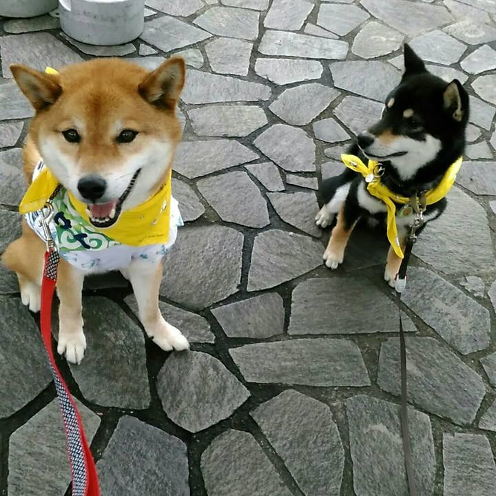 1f525606 e19c 4bcd 8a5c 55051220378c 1560094337288