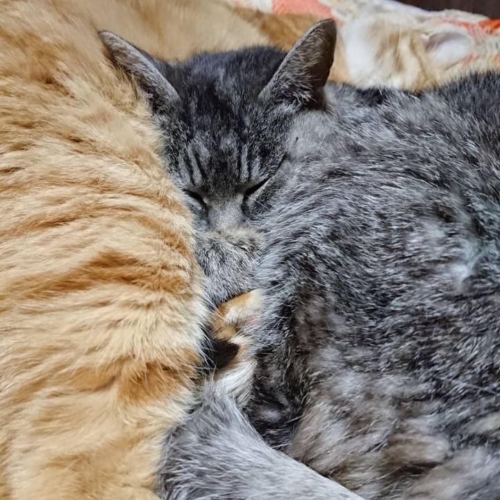 1f52682f c222 49fc 9995 d2170542f2ad 1578142481480